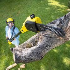 Best Hedge Trimming  in Azusa, CA